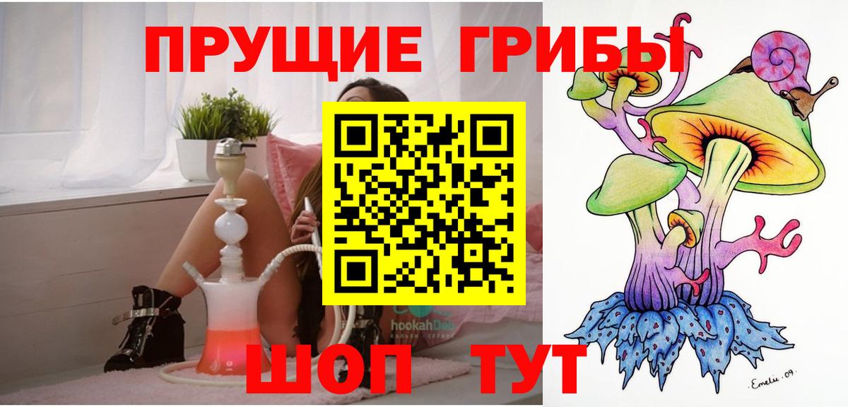 Пушкино  Псилоцибиновые грибы Psilocybine cubensis  Вход с VPN 