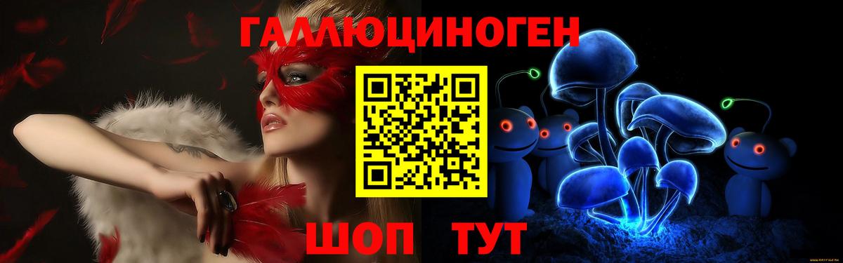 Псилоцибиновые грибы Psilocybe Пушкино